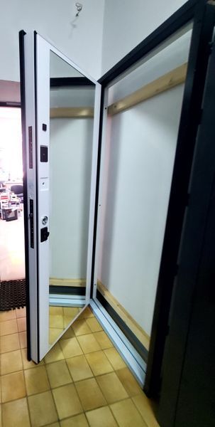 W-25/0 ДЗЕРКАЛО Двері вхідні у квартиру W-250 фото